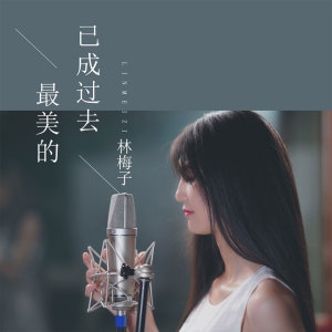 收听林梅子的最美的已成过去 (伴奏)歌词歌曲