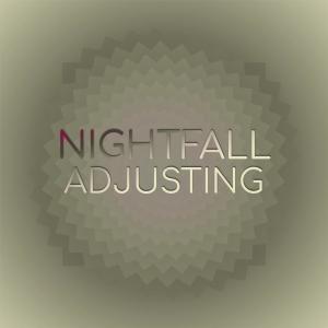 Various的专辑Nightfall Adjusting