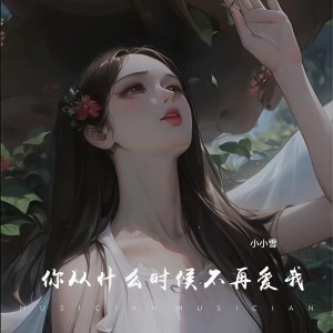 小小雪的專輯你從甚麼時候不再愛我