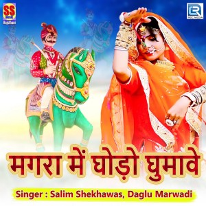 Listen to Magra Me Ghodo Ghumave song with lyrics from Salim Shekhawas