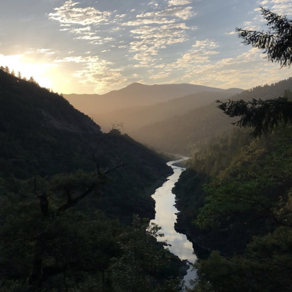 Waking at Dawn