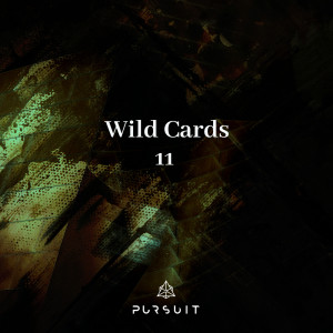 Bob Tosh的專輯Wild Cards 11