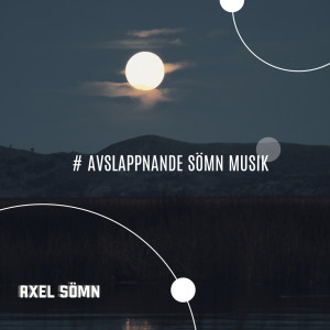Listen to Mind Relax song with lyrics from Axel Sömn