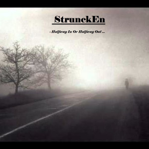 收聽StrunckEn的Halfway in or Halfway Out歌詞歌曲
