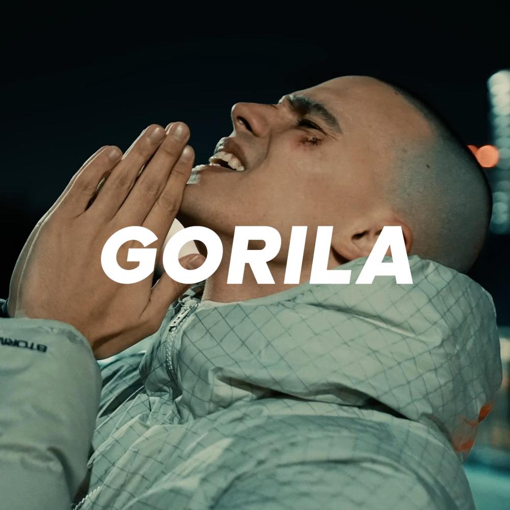 Gorila (Instrumental)