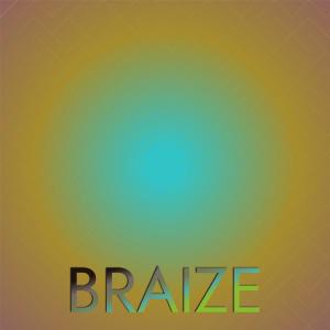อัลบัม Braize ศิลปิน Various
