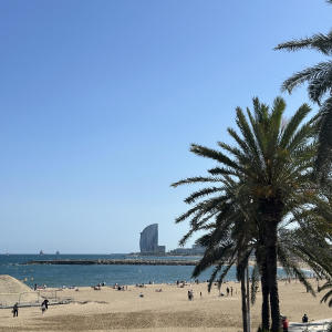 收聽Ahmet的Muñeca (Explicit)歌詞歌曲