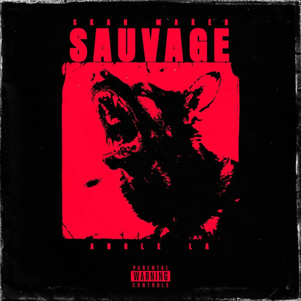 Hypocrite (feat. Skan Maker) (Explicit)
