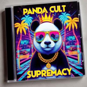 ดาวน์โหลดและฟังเพลง PandaCultSupremacy one พร้อมเนื้อเพลงจาก THE DJ MACHETTE