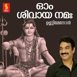Dengarkan Sarvadhi Nadhanam lagu dari Unni Menon dengan lirik