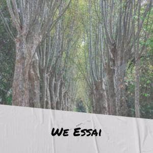 Various Artists的專輯We Essai