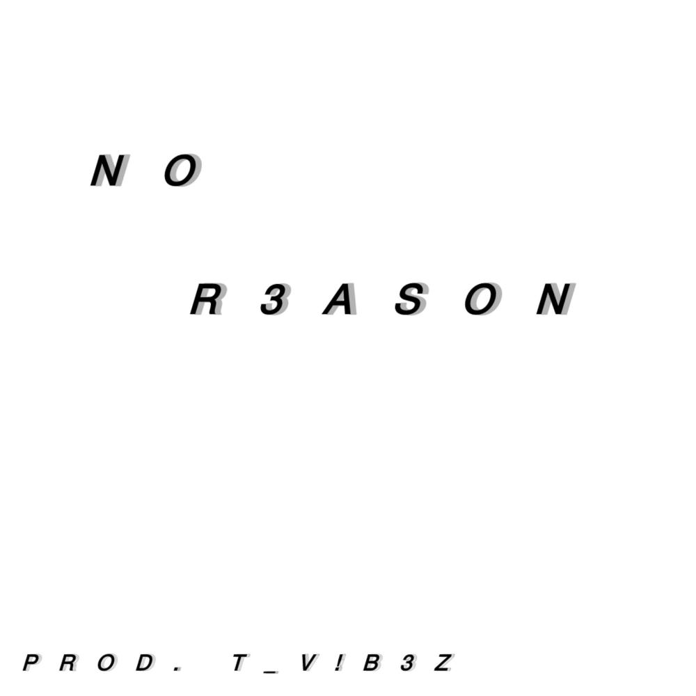 No R3ason (Explicit)