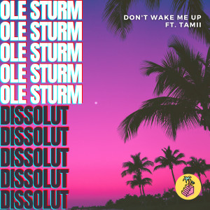 Don't Wake Me Up dari Ole Sturm