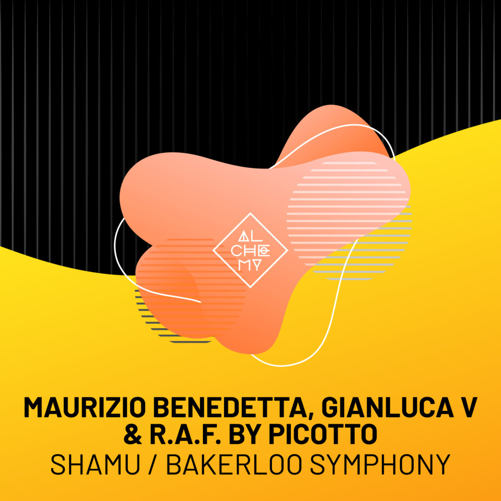Shamu (Mauro Personal Mix)