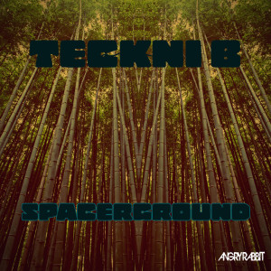 Teckni B的專輯Spacerground