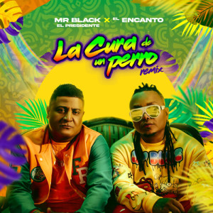 Album La Cura del Perro (Remix) from Mr Black El Presidente