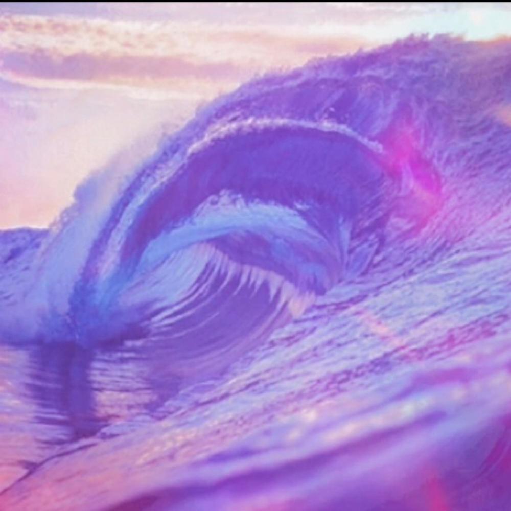 Wavacious