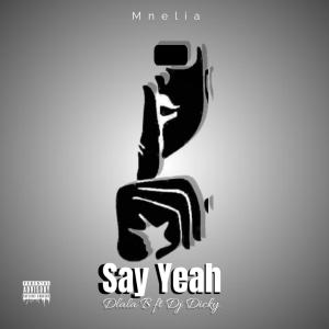 Dlala B的專輯Say Yeah (feat. Dj Dicky) [GqomBootleg]