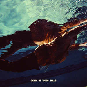 Album Gold In Them Hills from Speelburg