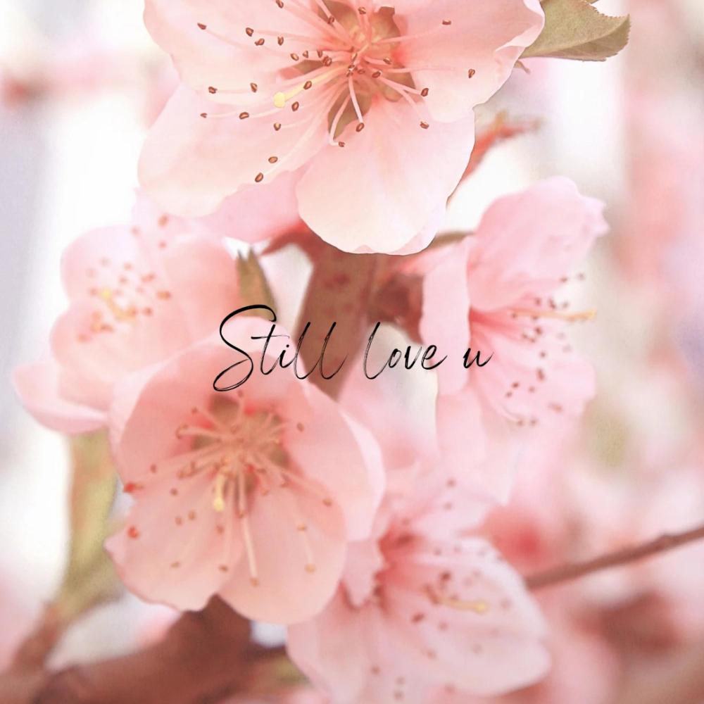 Still Love u  (instrumental)