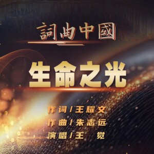 Album 生命之光 from 