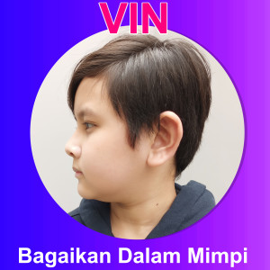 Bagaikan Dalam Mimpi dari Vin