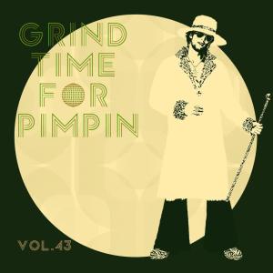 Album Grind Time For Pimpin,Vol.43 oleh Various Artists