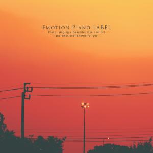 Various Artists的專輯A piano with a faint sensibility listening through the streets of memory