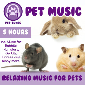 收聽PetTunes的Relaxing Rat Music歌詞歌曲