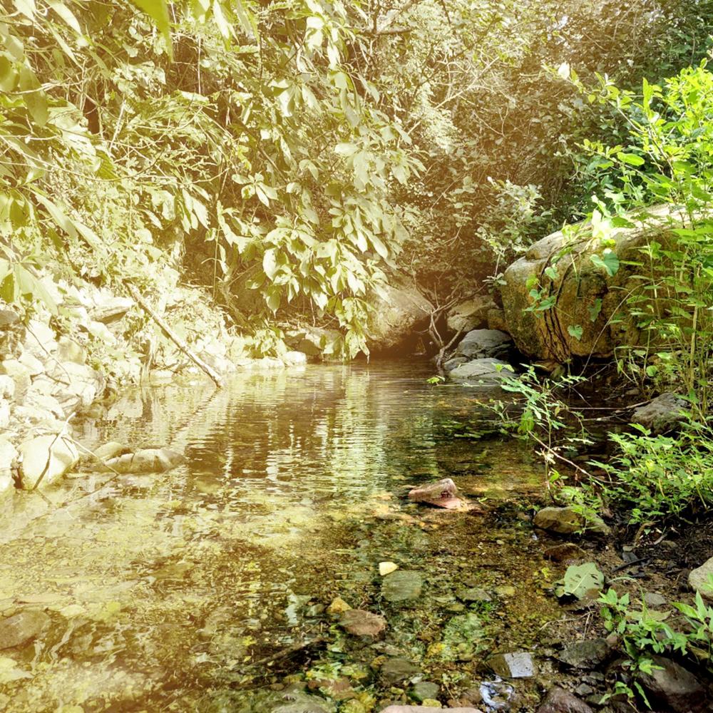 La Luz Cae
