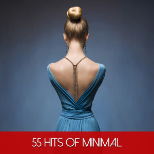 Album 55 Hits of Minimal oleh Various