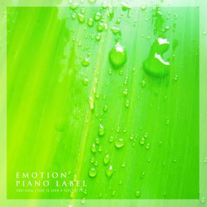 Emotional Piano To Draw A Pure Nature (Nature Ver.) dari Various Artists