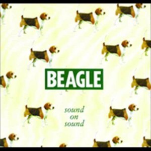 收聽Beagle的The Things That We Say (Single Edit)歌詞歌曲