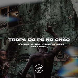 Mc Pedrão的專輯Tropa do Pé No Chão