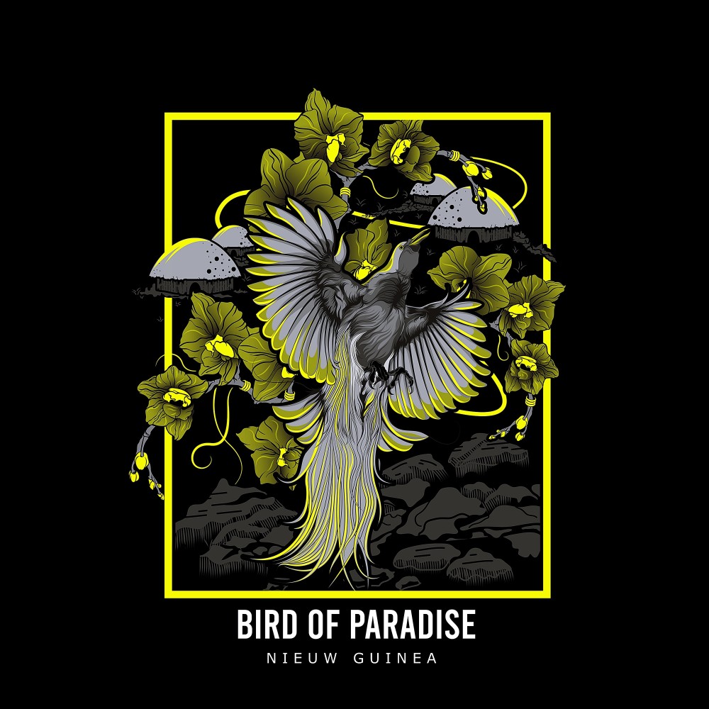 Bird of Paradise - Nieuw Guinea