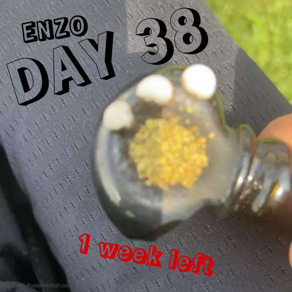 Day 38 (Explicit)