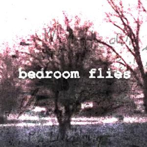 jonny h的專輯bedroom flies