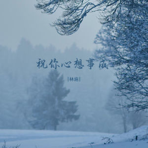 Album 祝你心想事成 from 林施