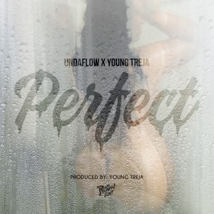 Undaflow的專輯Perfect (feat. Young Treja) - Single
