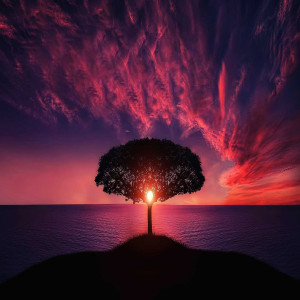 Album The Melody of Nature from Eman