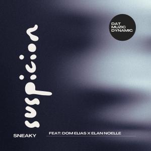 收聽Dat Muzic Dynamic的Sneaky Suspicion (feat. Dom Elias & Elan Noelle)歌詞歌曲