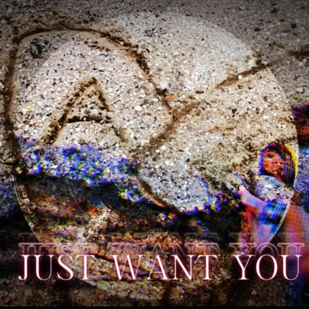 Just Want You (Explicit)