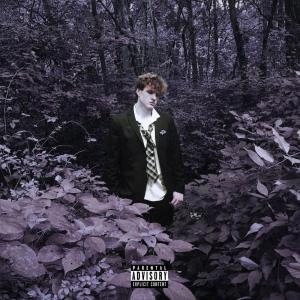 Album Tonight's Entertainment: The Encore (Explicit) from Dmad