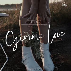 Gimme Love dari Stray