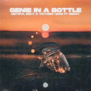 ดาวน์โหลดและฟังเพลง Genie In A Bottle พร้อมเนื้อเพลงจาก MEYSTA
