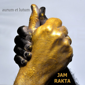 ดาวน์โหลดและฟังเพลง Nothing Can Go Wrong พร้อมเนื้อเพลงจาก Jam Rakta