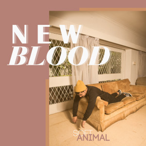 Album New Blood from SoftAnimal