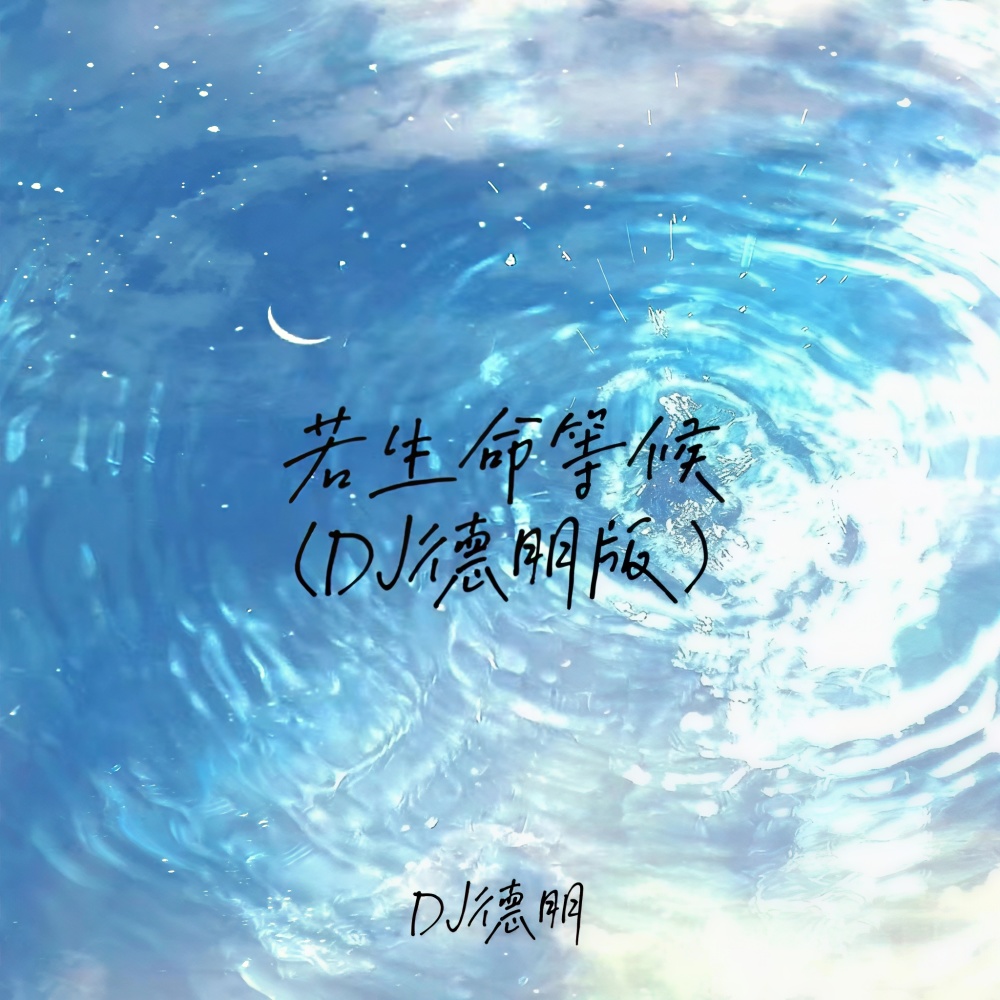若生命等候 (DJ德朋版)