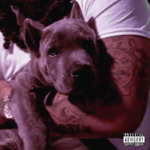 Listen to Dawgs Home (Explicit) song with lyrics from Young Tone