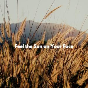Feel the Sun on Your Face dari Classic Jazz